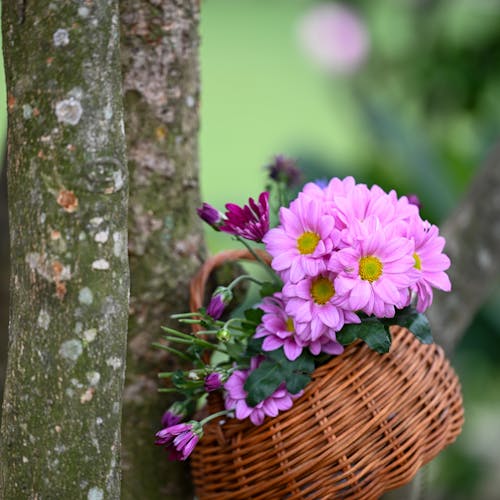 Cesta Signature con rosas y flores de estación - Blume Boutique Floral
