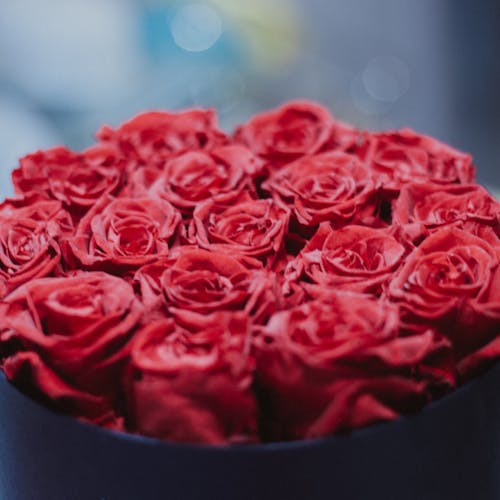 Hat Box Bliss con flores mixtas - Blume Boutique Floral