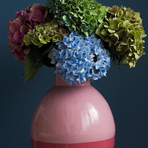 Burbuja de Hortensias en florero - Blume Boutique Floral