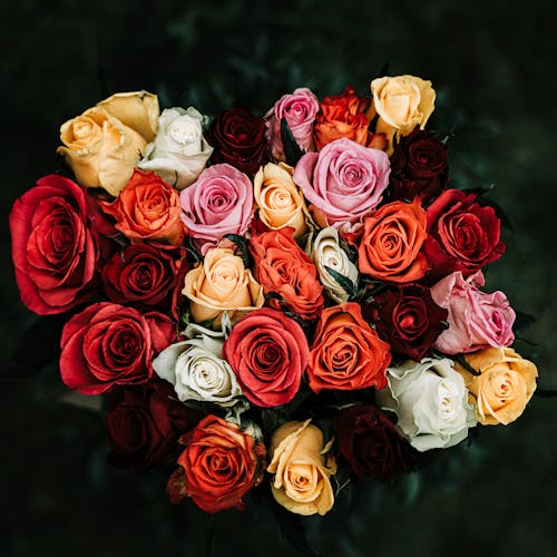 Ramo de rosas frescas para delivery Lima - Blume Boutique Floral